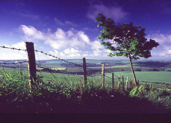 Ditchling - South Downs